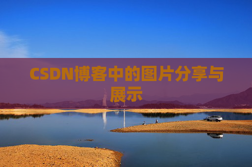 CSDN博客中的图片分享与展示